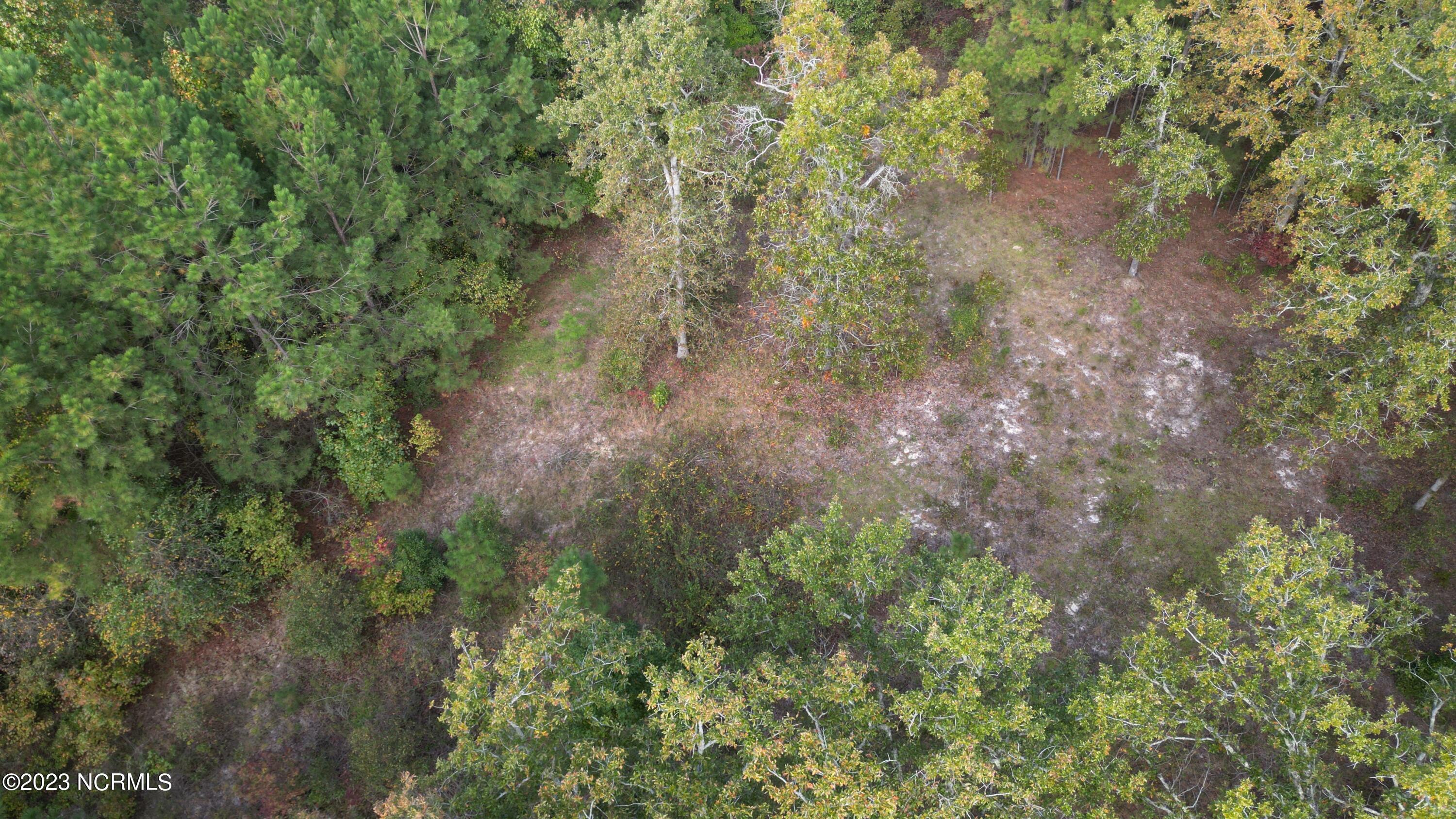 18.33-acre McPherson Road Vass, NC 28394 - Photo 27 of 39 DJI_0146