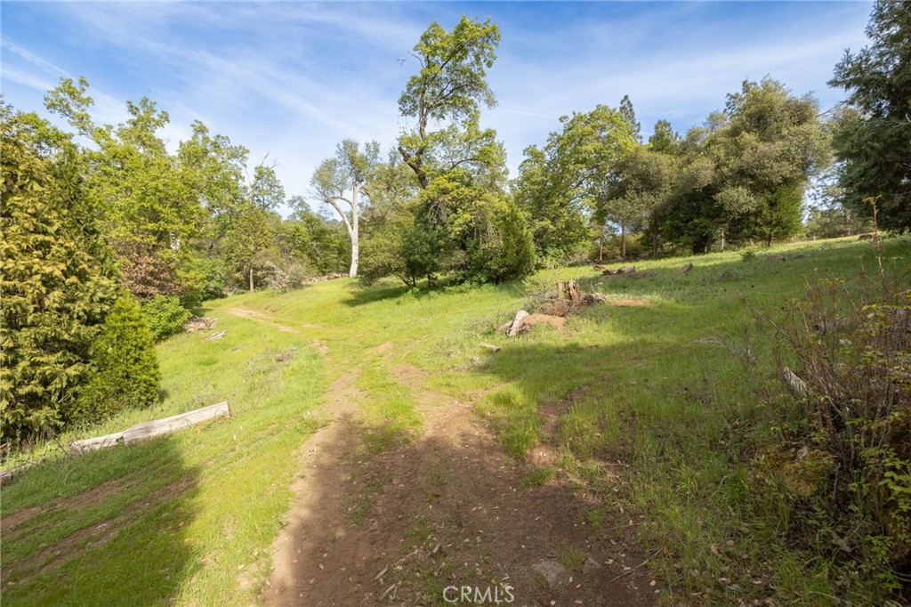 36919 Deer Path Circle Coarsegold, CA 93614 - Photo 66 of 69
