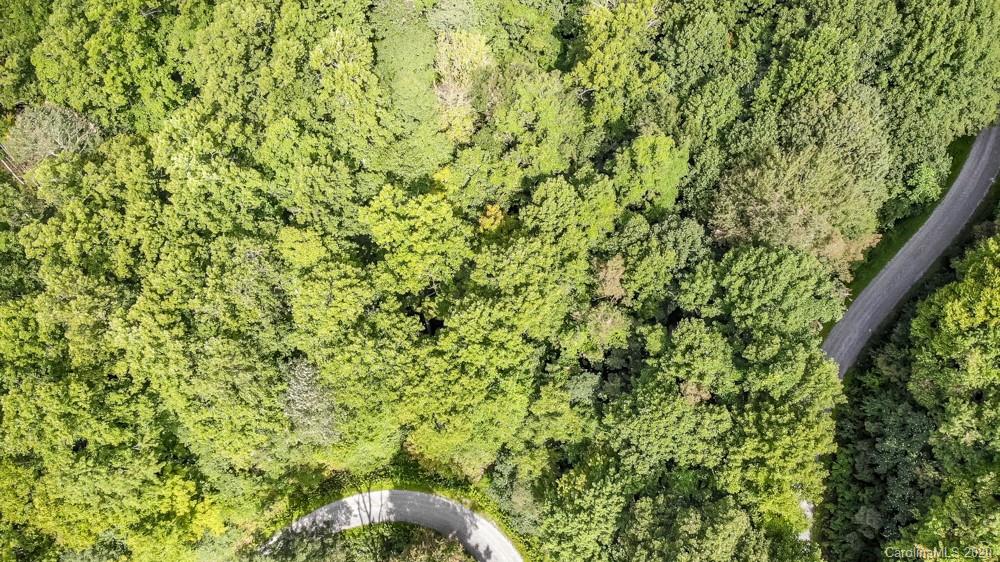 Tbd The Mulberry Cove Road, Unit 14 Boone, NC 28607 - Photo 11 of 11 a view of a yard
