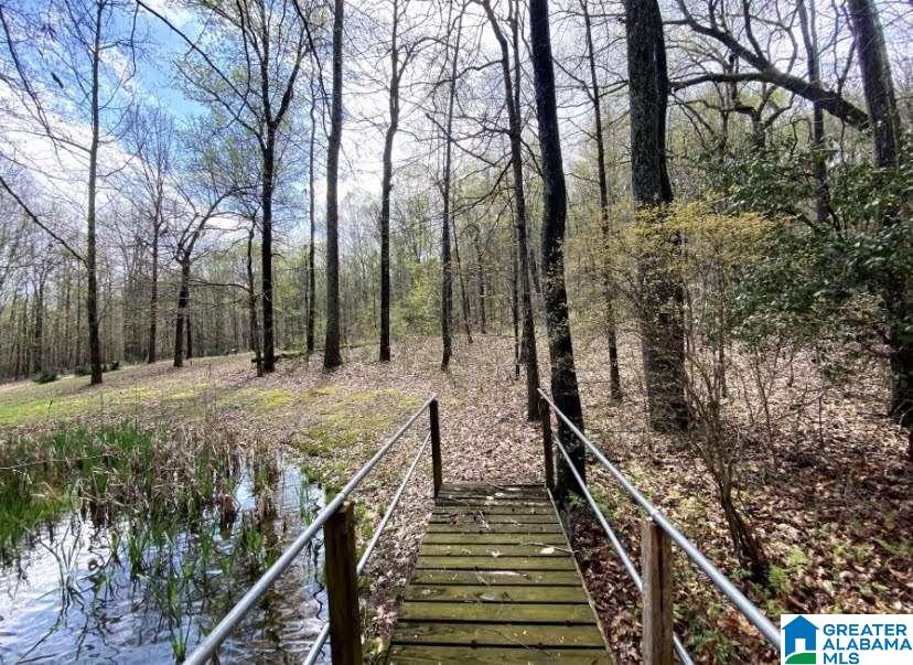 240 Luste Cosmos Road Jacksonville, AL 36265 - Photo 3 of 30