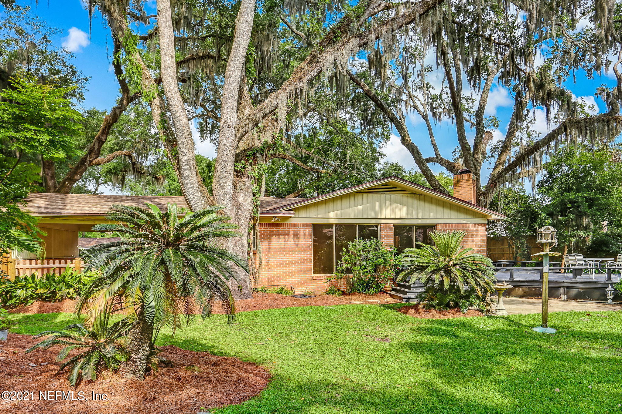 6841 Estrada Road Jacksonville, FL 32217 - Photo 26 of 48 Back of Home