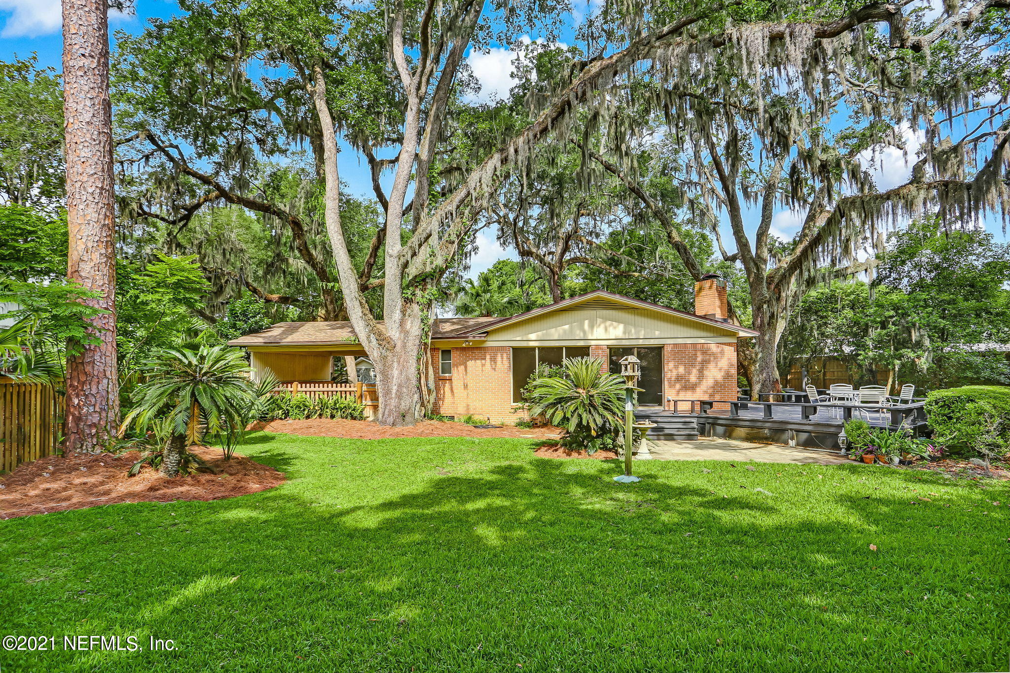 6841 Estrada Road Jacksonville, FL 32217 - Photo 28 of 48 Spacious Backyard