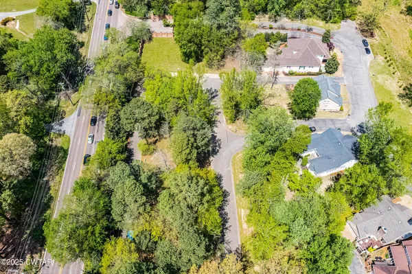 a view of a yard with trees