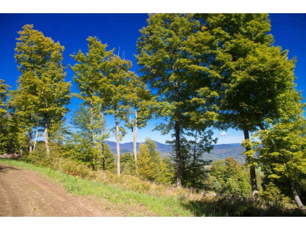 0 Lot 16 Taber Ridge Stowe, VT 05672 - Photo 7 of 12 Gallery Image 7