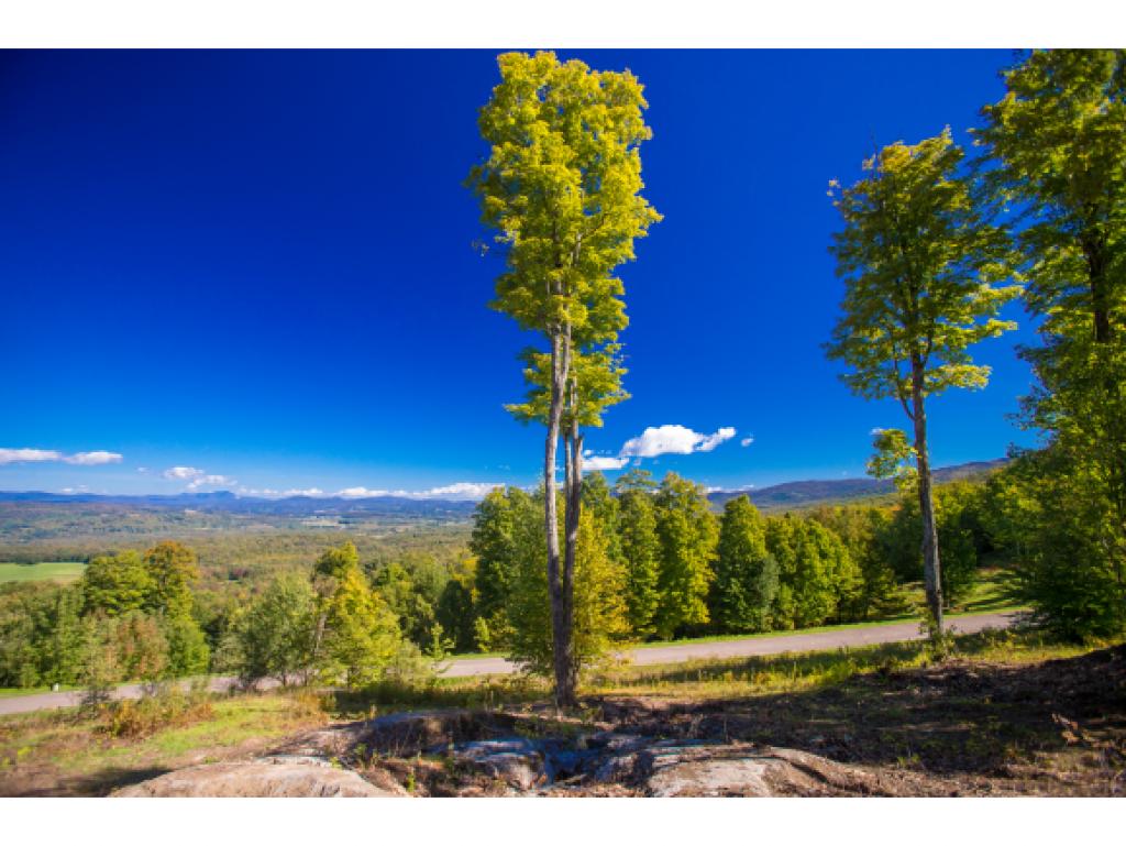 0 Lot 16 Taber Ridge Stowe, VT 05672 - Photo 9 of 12 Gallery Image 9