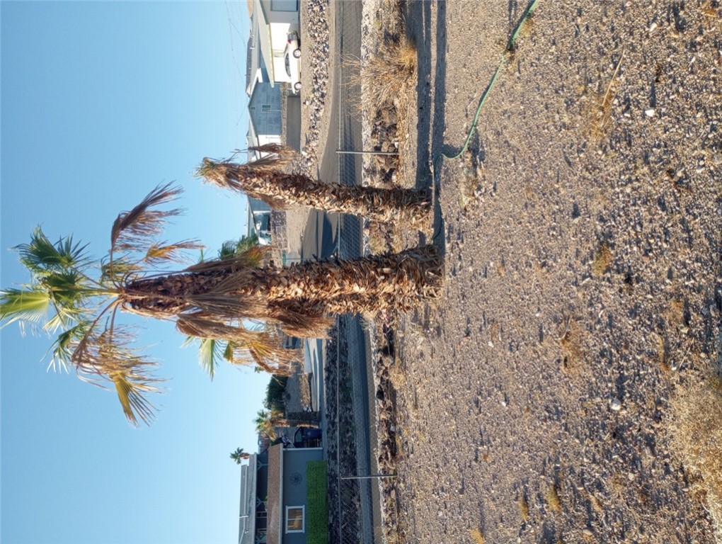1682 Toro Road Bullhead City, AZ 86442 - Photo 26 of 30 View of yard