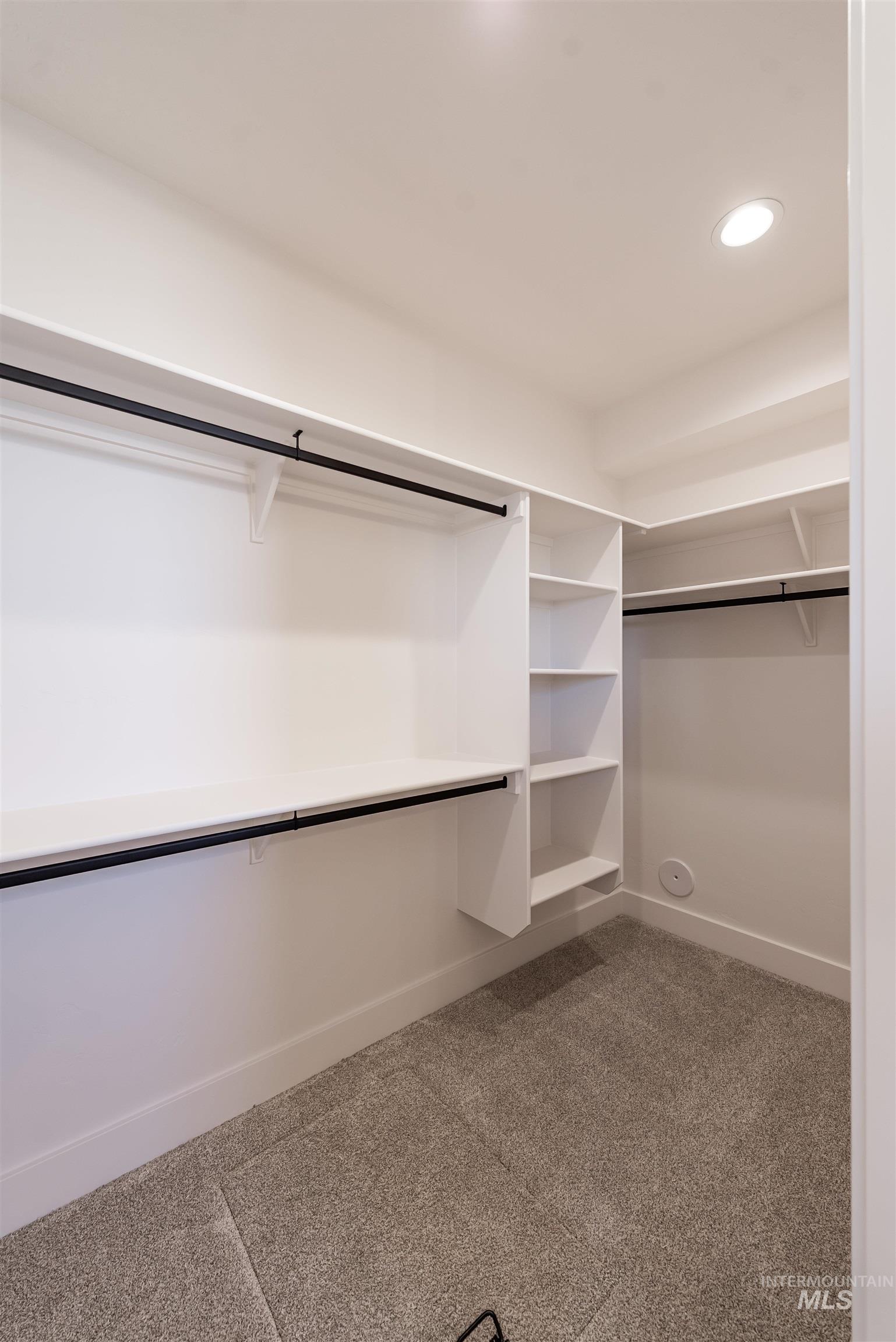 410 South Diesel Way Boise, ID 83716 - Photo 17 of 49 Walk in closet with light colored carpet
