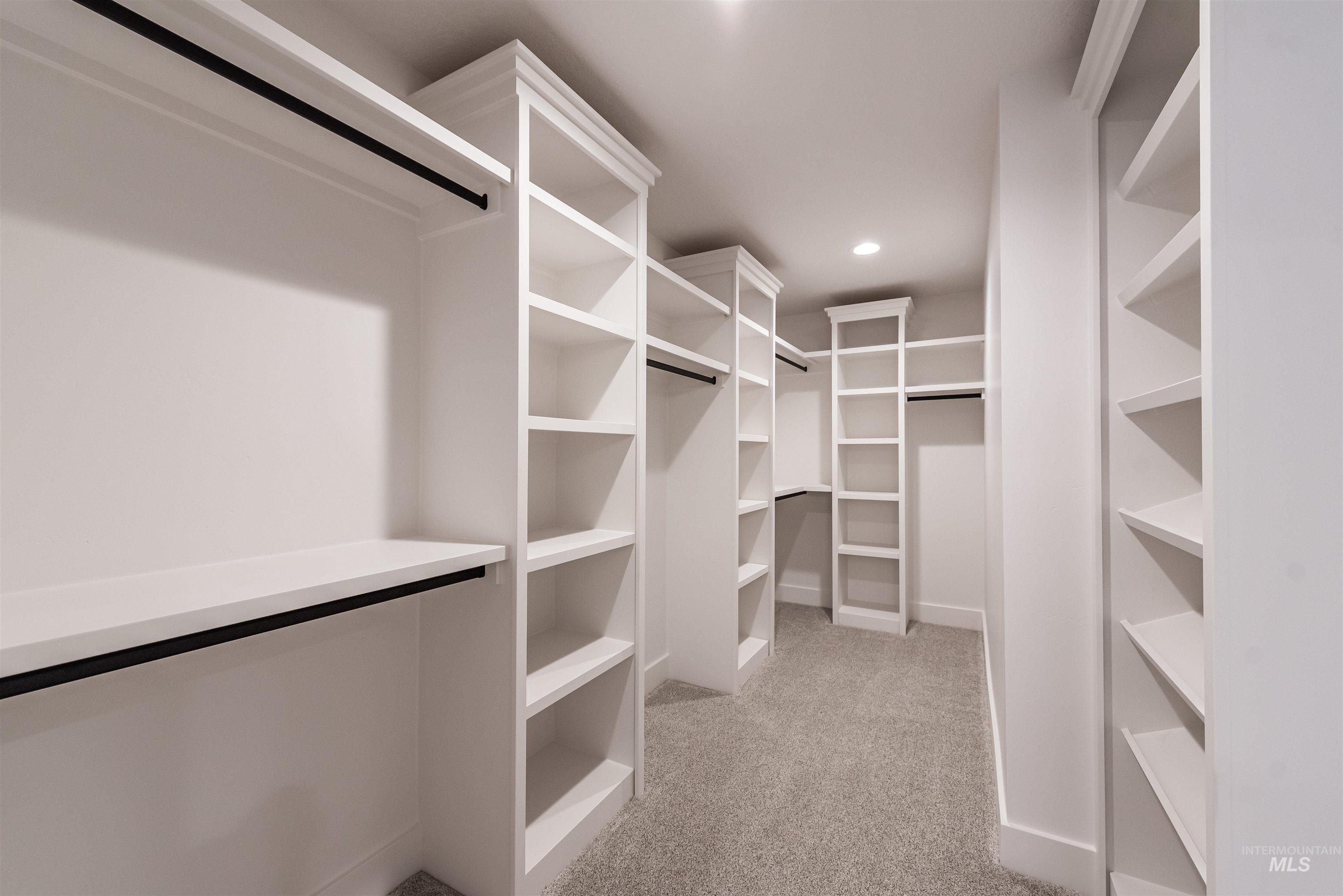 410 South Diesel Way Boise, ID 83716 - Photo 32 of 49 Walk in closet with light carpet