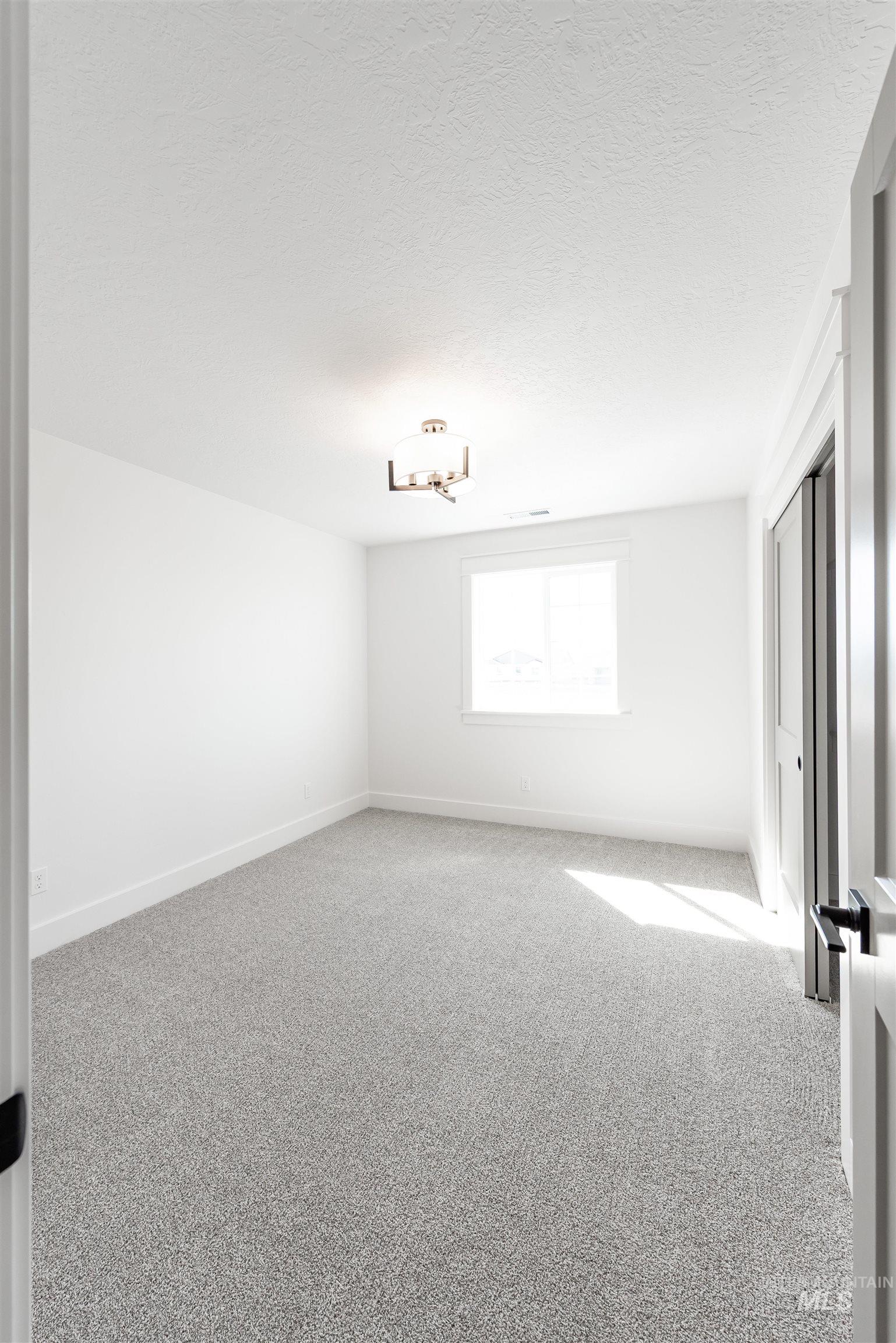 410 South Diesel Way Boise, ID 83716 - Photo 37 of 49 Unfurnished room featuring carpet floors and a textured ceiling