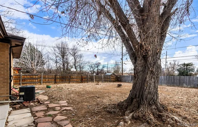 a view of a yard with a tree