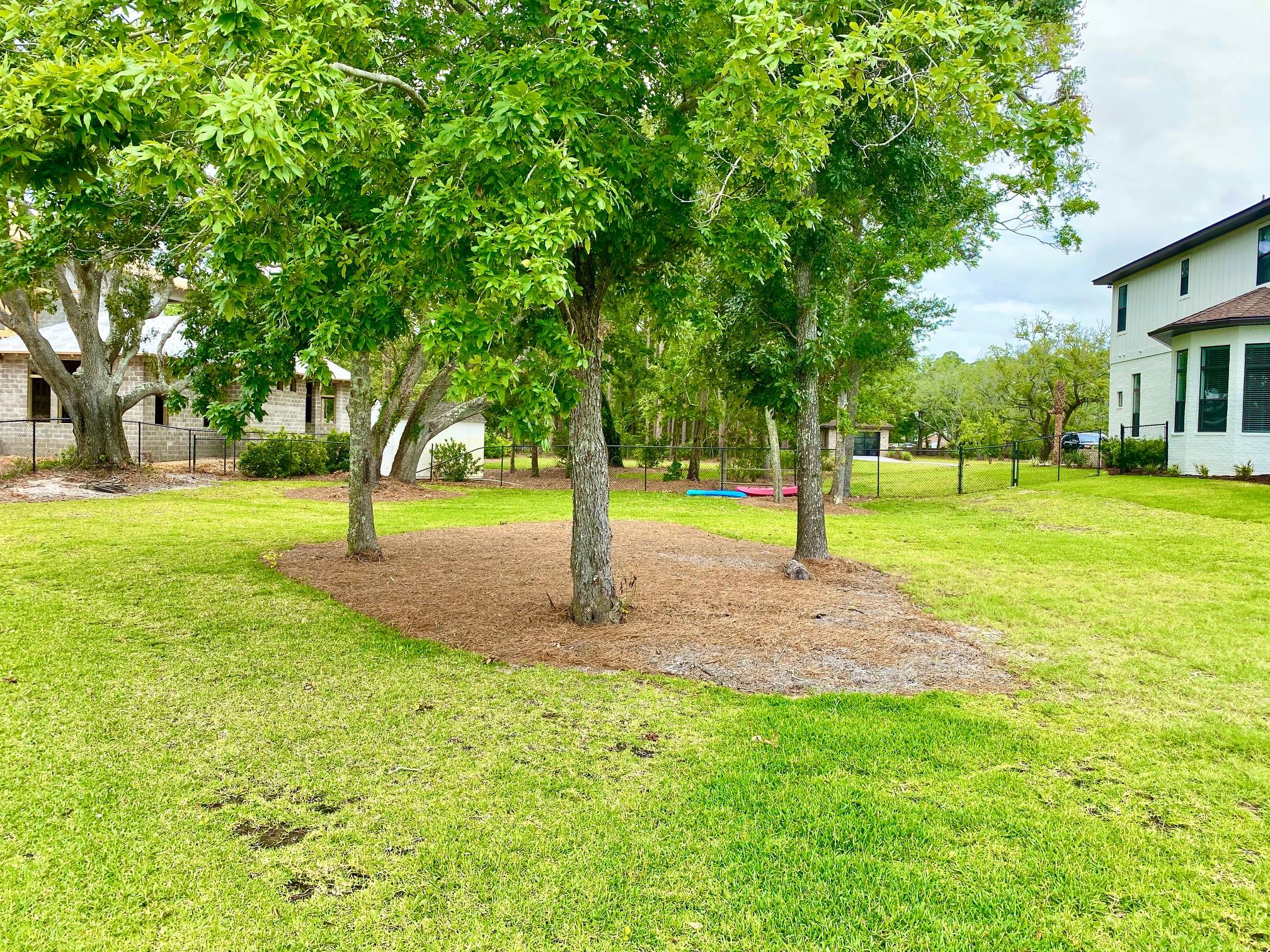 1.20-acres Driftwood Point Road Santa Rosa Beach, FL 32459 - Photo 4 of 9 a view of a park with a tree