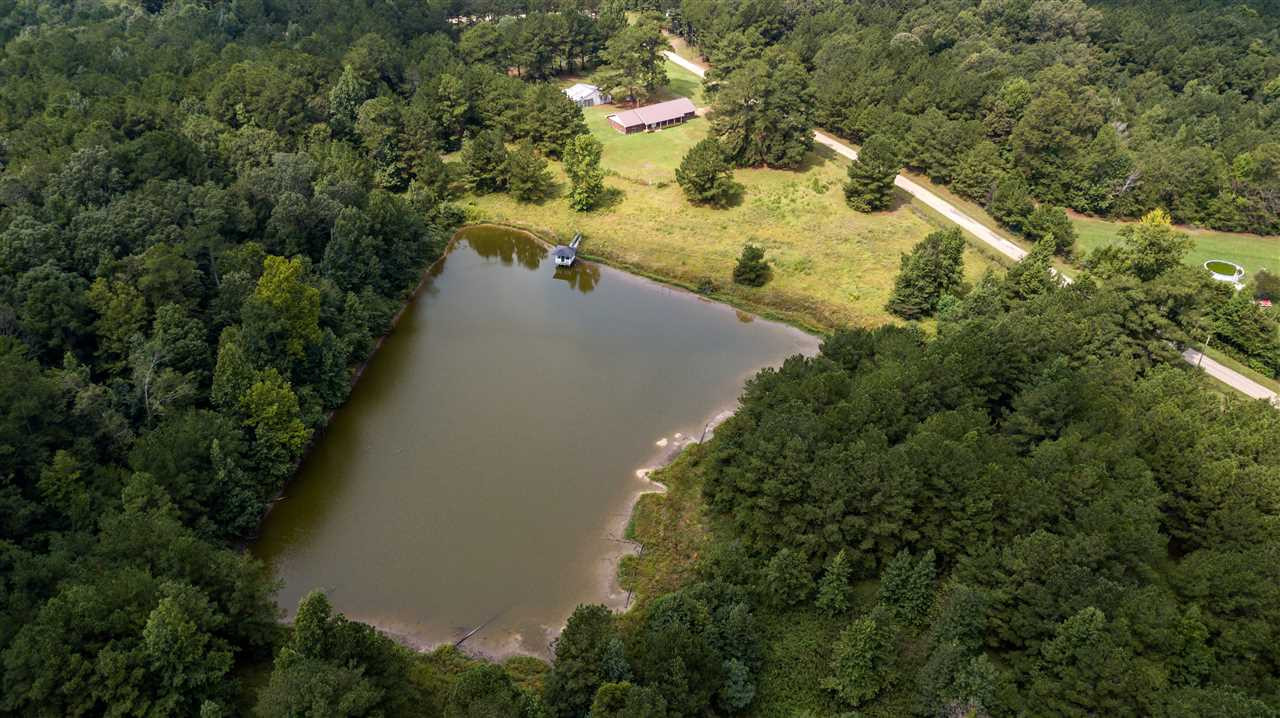 165 Gum Springs Road Braxton, MS 39044 - Photo 7 of 42 Photo 7
