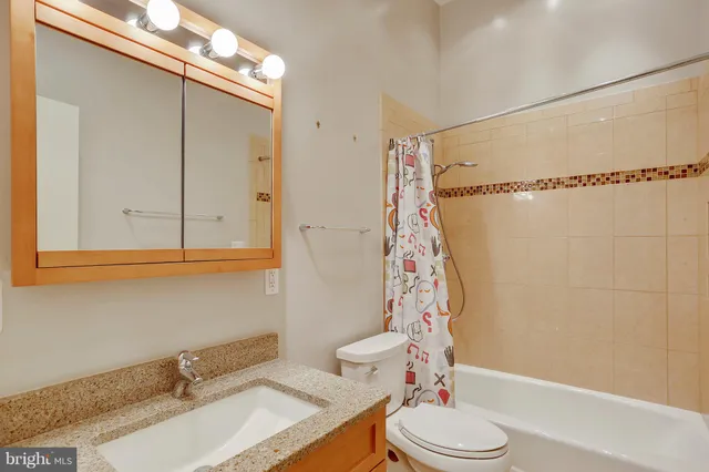 a view of a park with large trees