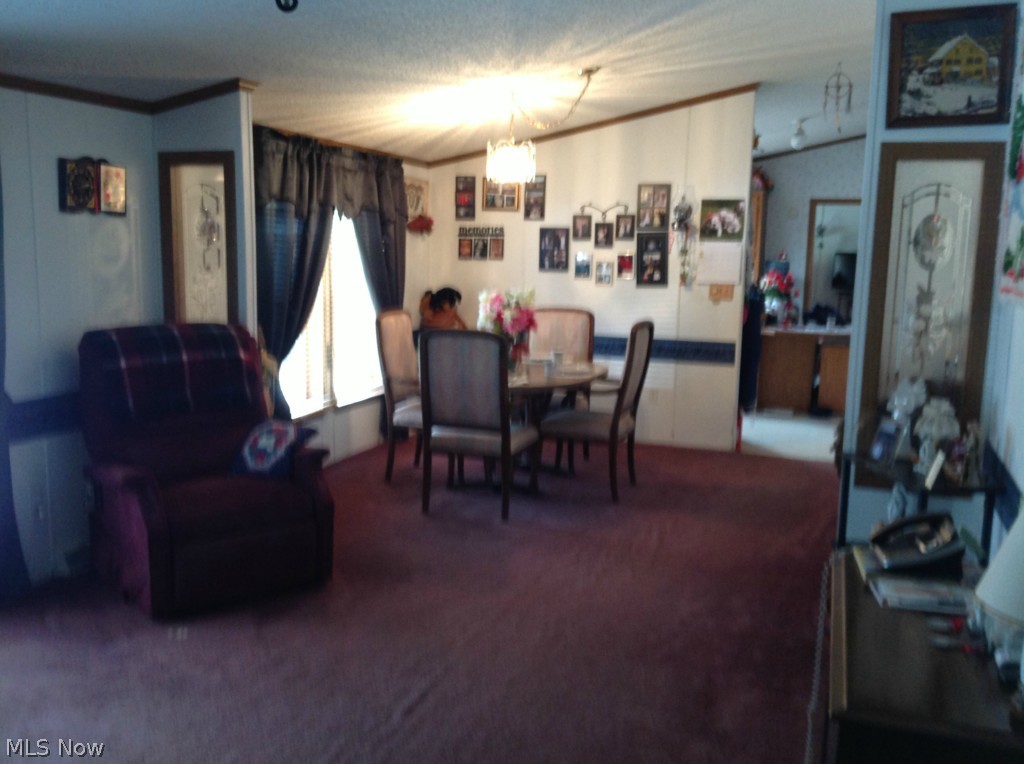 25901 Township Line Road Minerva, OH 44657 - Photo 9 of 25 Gallery Image 9