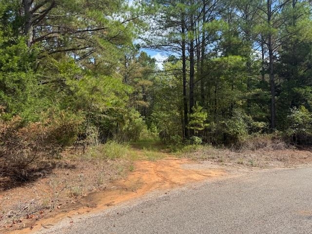a view of a yard with a tree