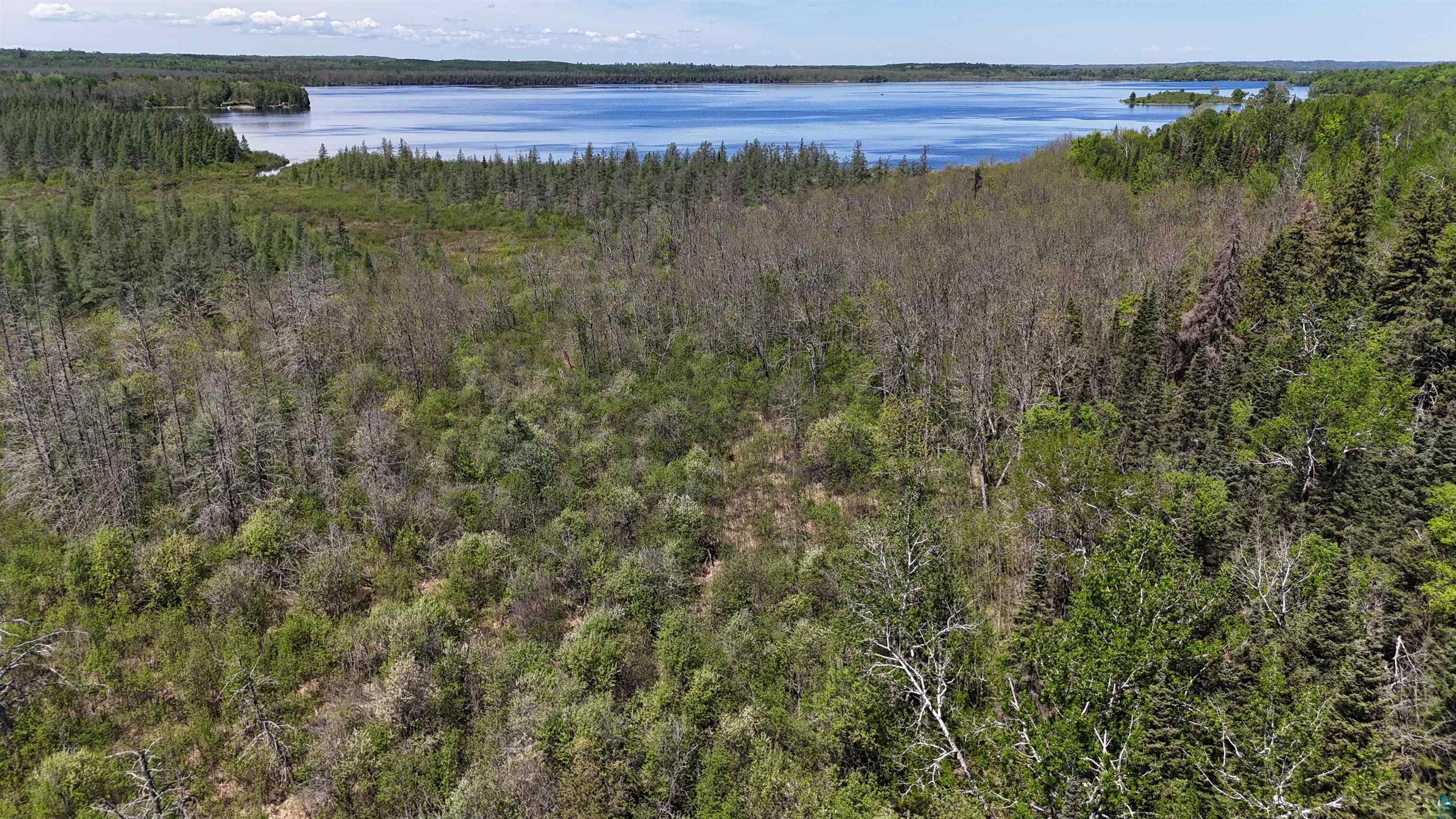 21 Nett Lake Road Orr, MN 55771 - Photo 12 of 15