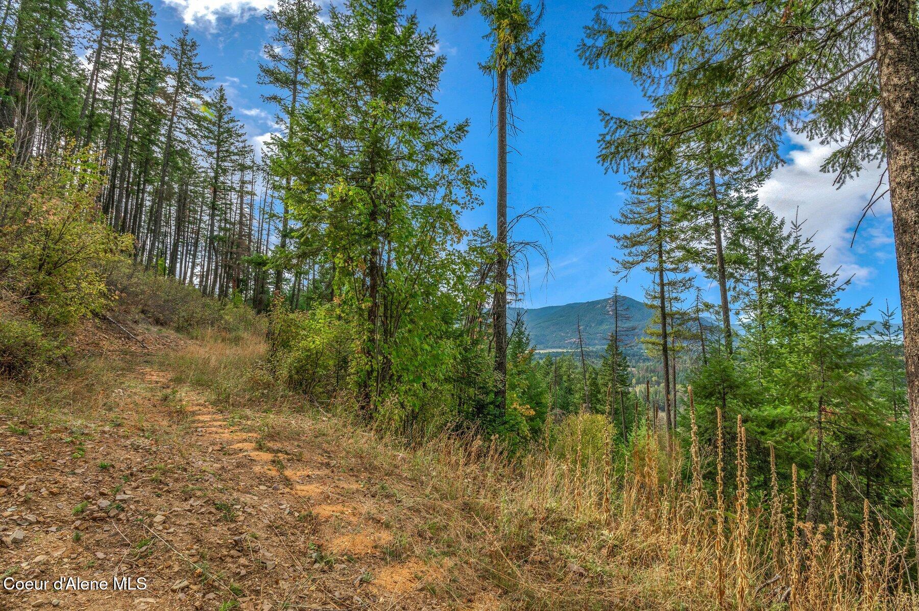 818 Silver Creek Road Clark Fork, ID 83811 - Photo 21 of 45 Excellent Hunting
