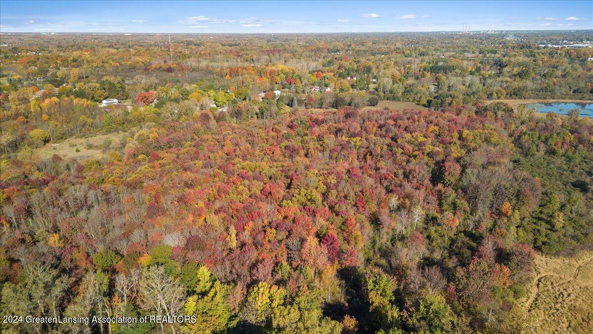 0 Holt Road Holt, MI 48842 - Photo 14 of 14 06-Media Jett - 05