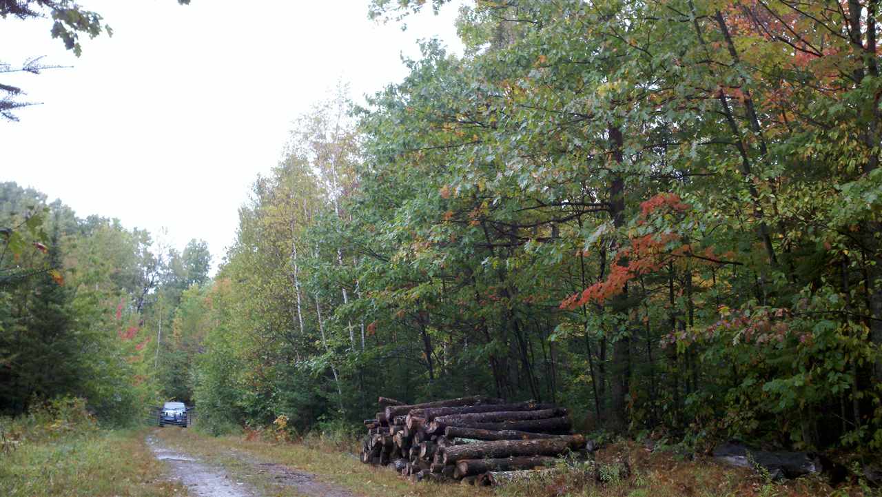 Off Mail Rte Road Prentice, WI 54556 - Photo 1 of 1