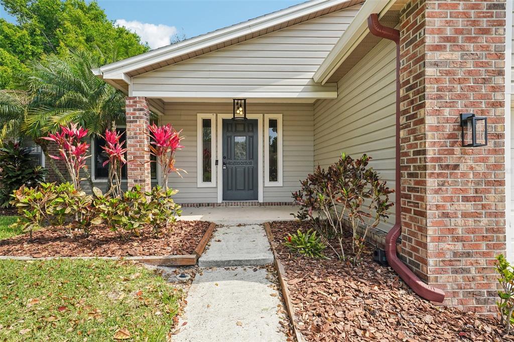 3109 Lake Valencia Lane East Palm Harbor, FL 34684 - Photo 49 of 59