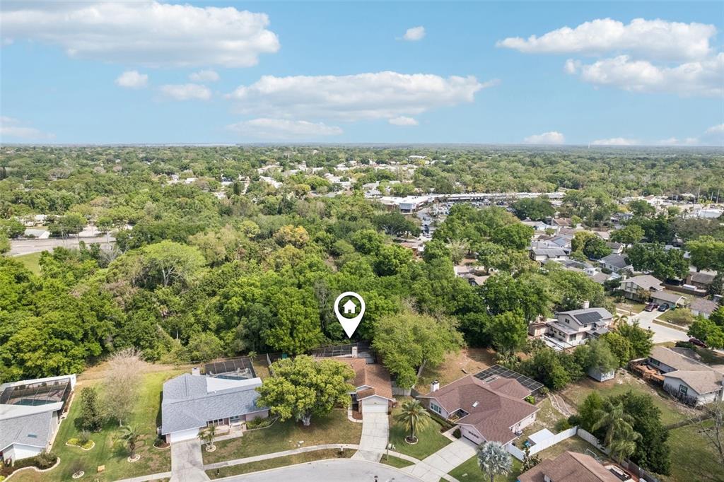 3109 Lake Valencia Lane East Palm Harbor, FL 34684 - Photo 52 of 59 an aerial view of multiple house