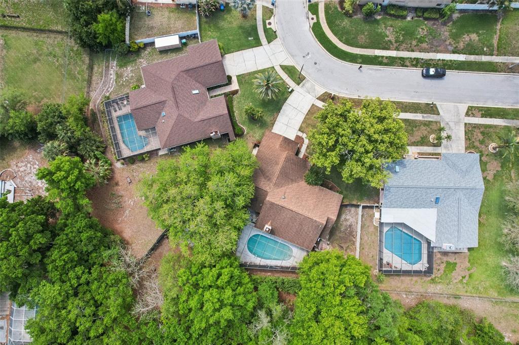 3109 Lake Valencia Lane East Palm Harbor, FL 34684 - Photo 53 of 59 an aerial view of a house