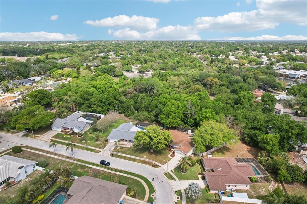 3109 Lake Valencia Lane East Palm Harbor, FL 34684 - Photo 55 of 59 an aerial view of a house with a yard