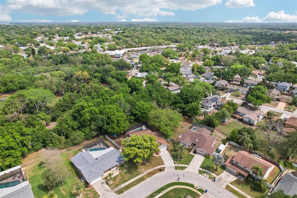 3109 Lake Valencia Lane East Palm Harbor, FL 34684 - Photo 56 of 59 an aerial view of a house with a yard