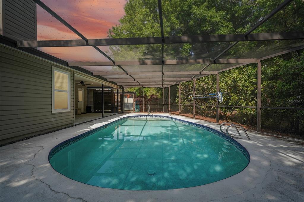 3109 Lake Valencia Lane East Palm Harbor, FL 34684 - Photo 58 of 59 a view of a swimming pool with a patio