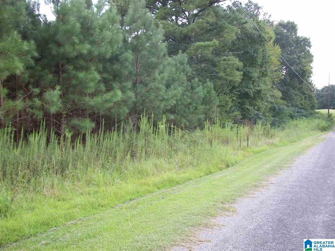 6909 Elbert Street, Unit 1 Bessemer, AL 35023 - Photo 2 of 2