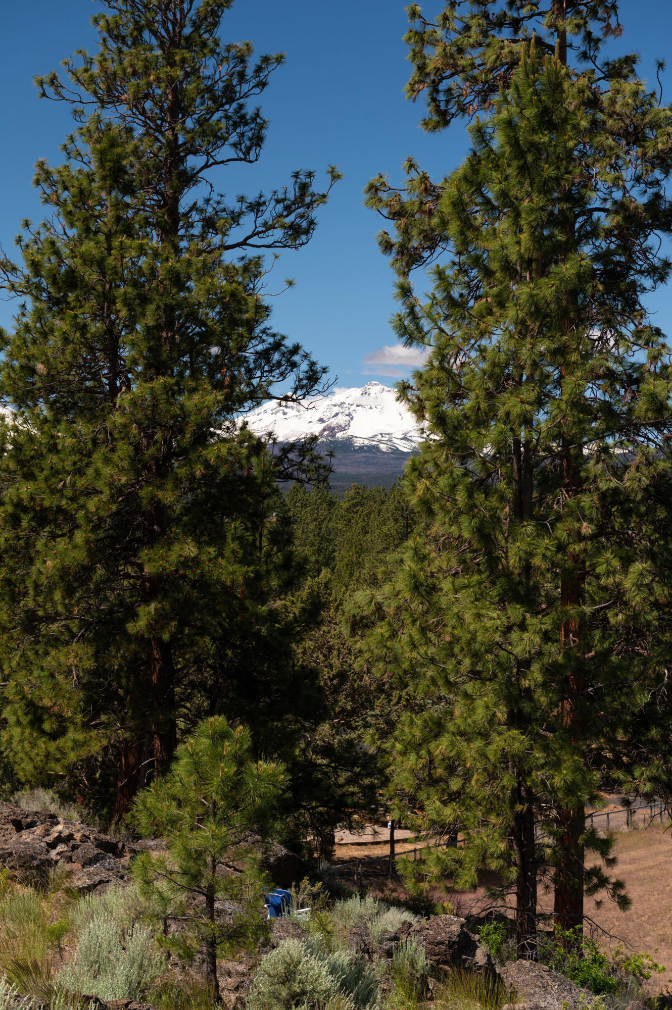 68813 Bradley Road Sisters, OR 97759 - Photo 40 of 43 TPark_4158_061720