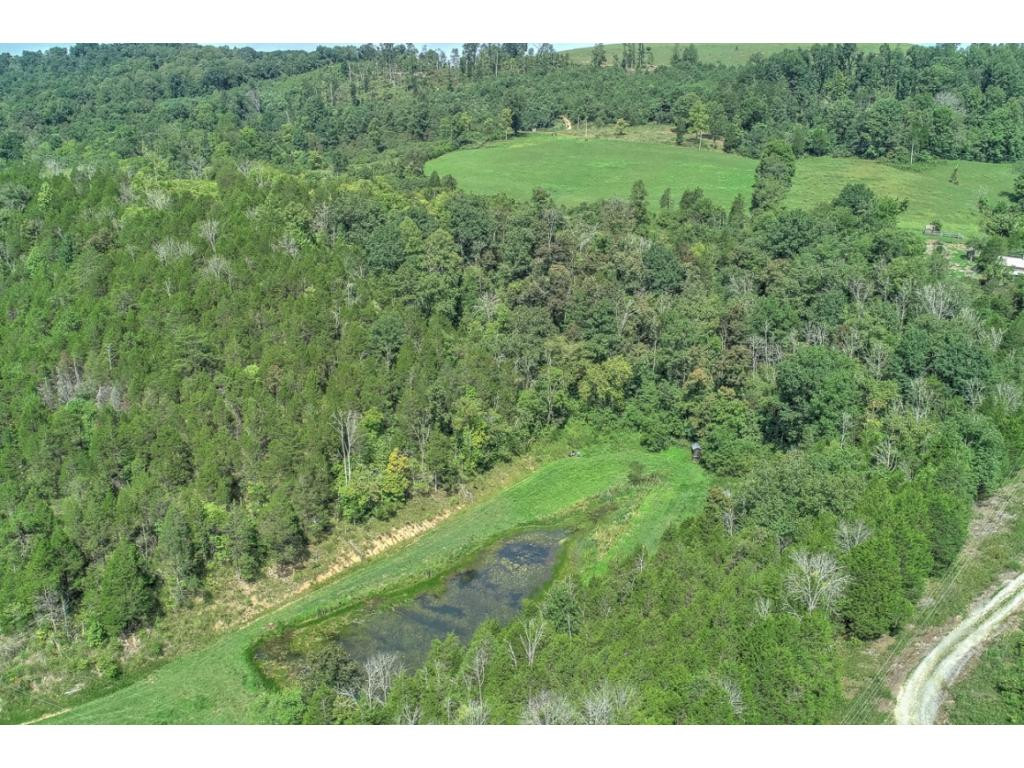 2519 Clinch Mountain Road Eidson, TN 37731 - Photo 5 of 6 Photo 34