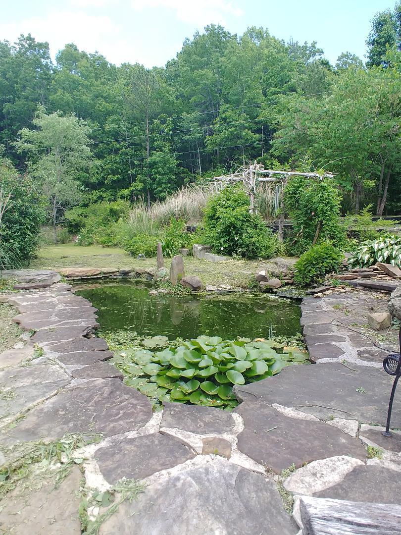 2318 Litton Road Oneida, TN 37841 - Photo 12 of 34 28