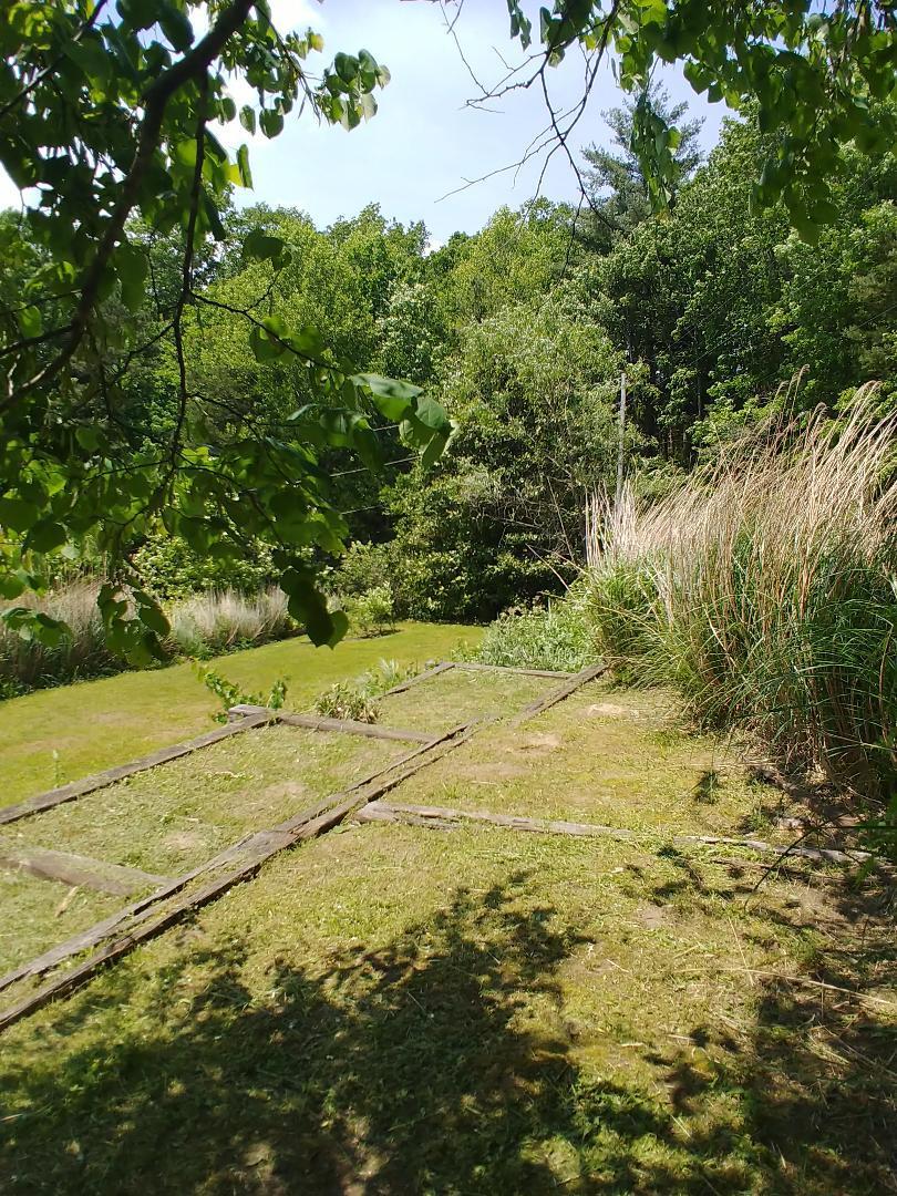 2318 Litton Road Oneida, TN 37841 - Photo 14 of 34 36