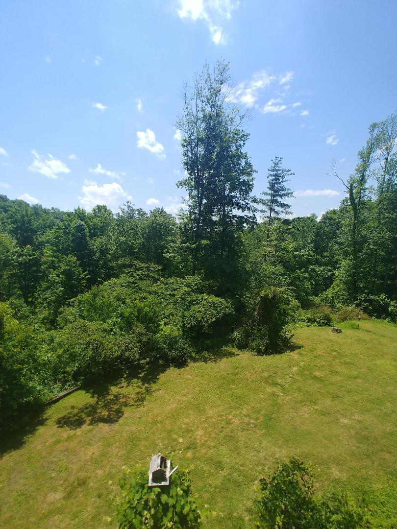 2318 Litton Road Oneida, TN 37841 - Photo 18 of 34 15