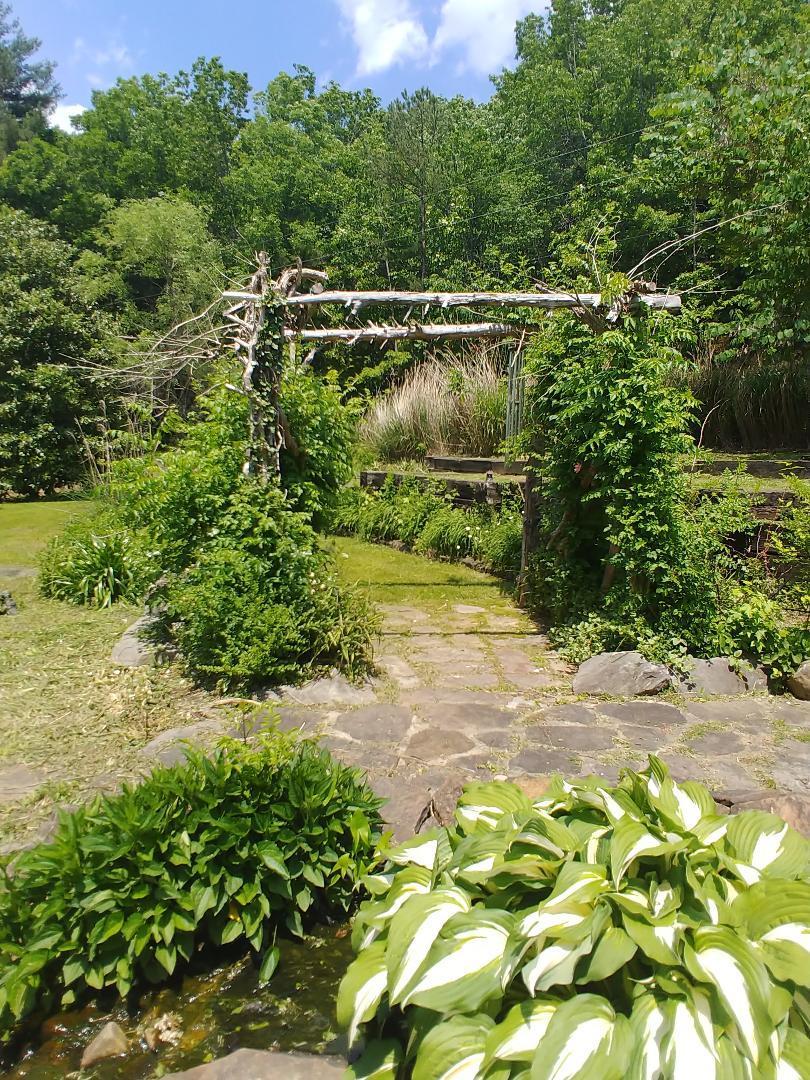 2318 Litton Road Oneida, TN 37841 - Photo 21 of 34 49