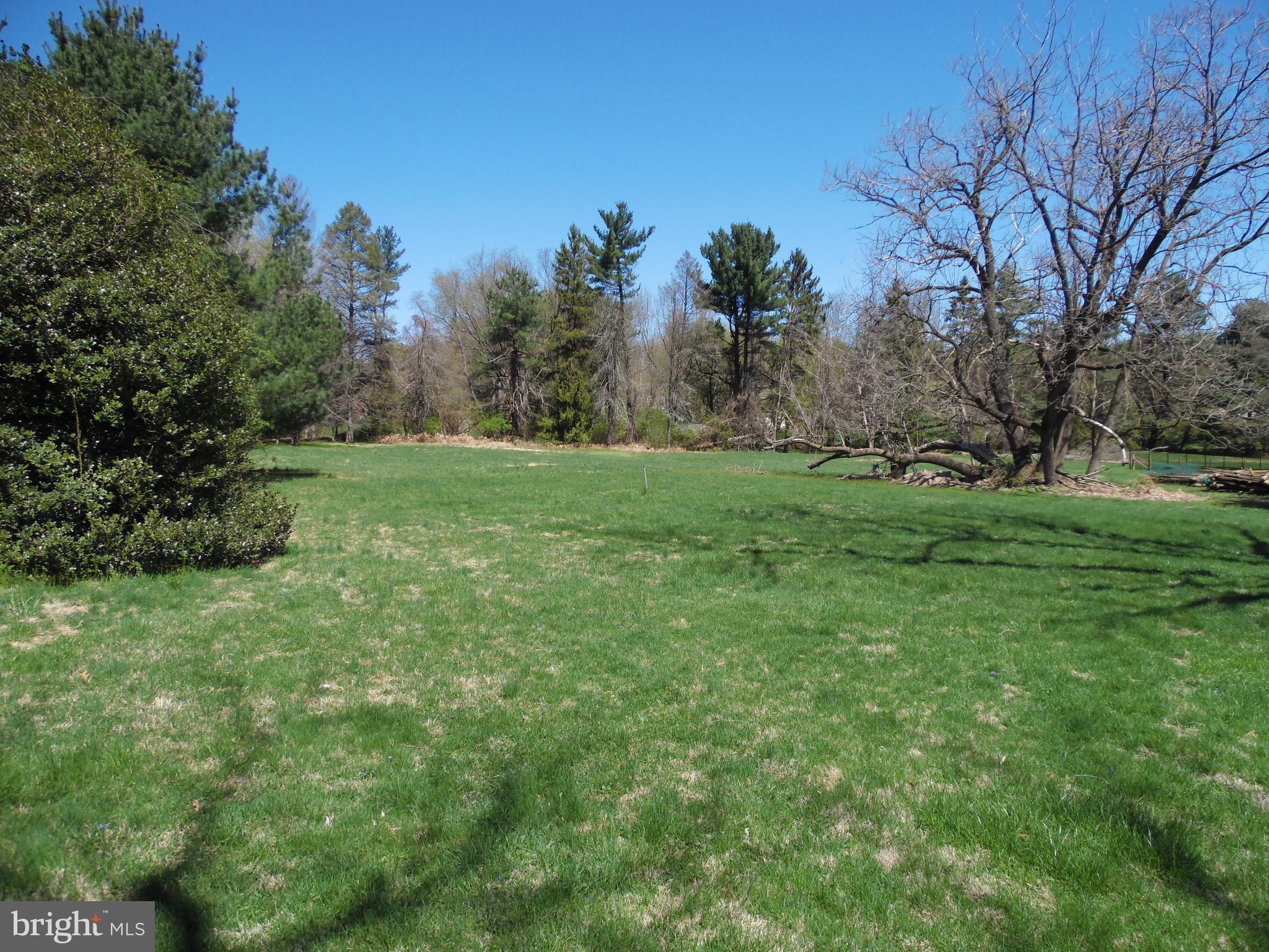 255 Lapp Road Malvern, PA 19355 - Photo 2 of 6 Mature trees. View from the street