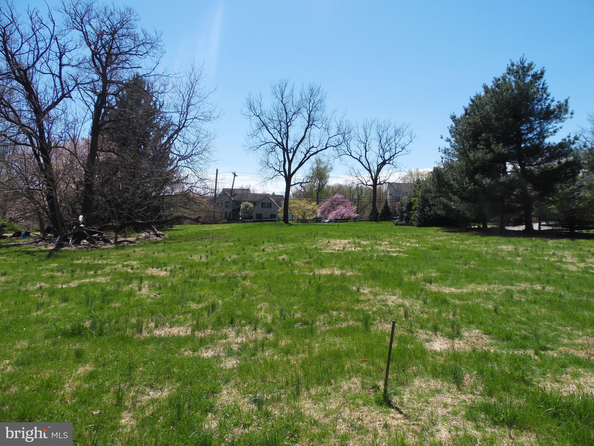 255 Lapp Road Malvern, PA 19355 - Photo 5 of 6 View from Back yard looking at the street