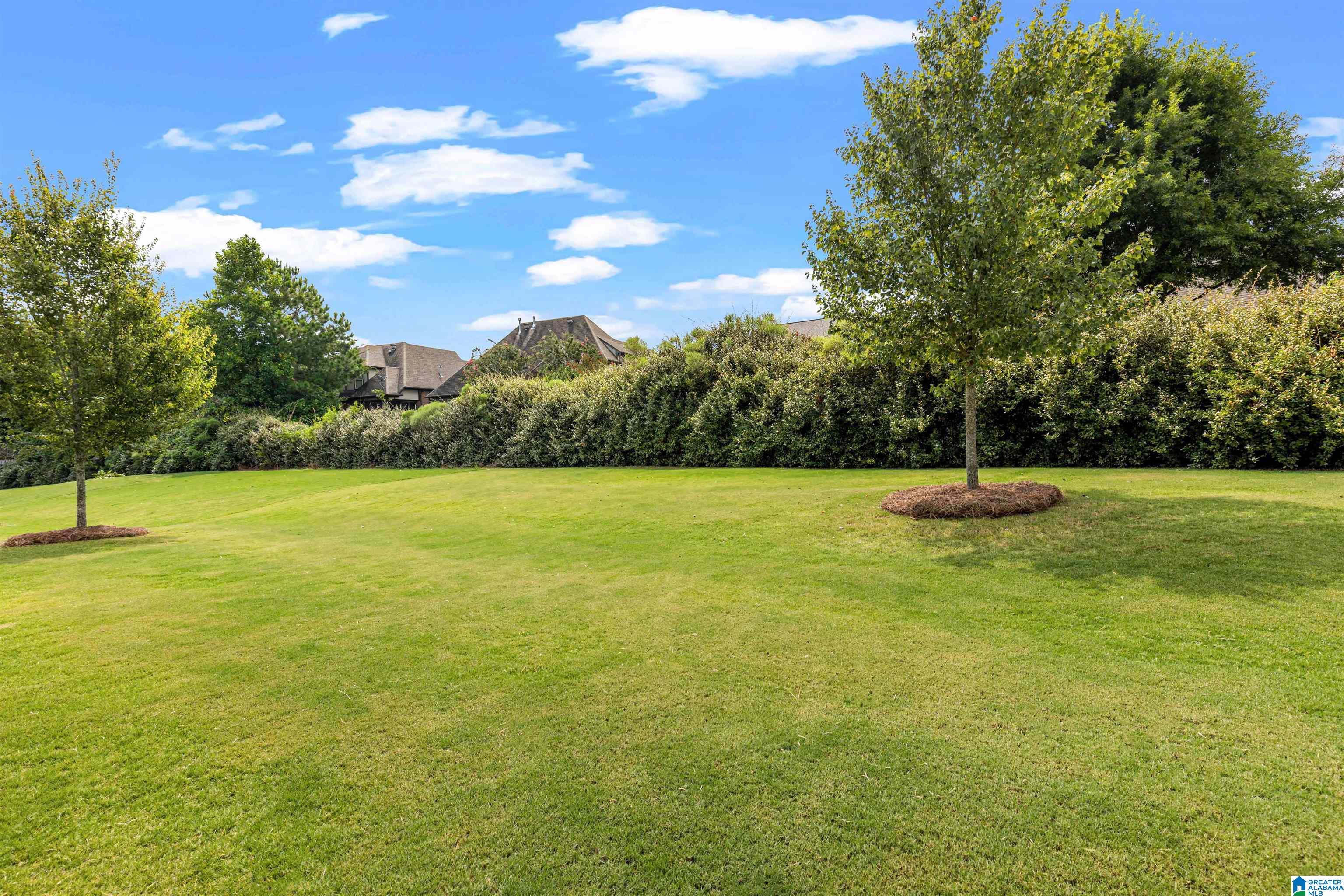 345 Strathaven Circle Pelham, AL 35124 - Photo 49 of 49