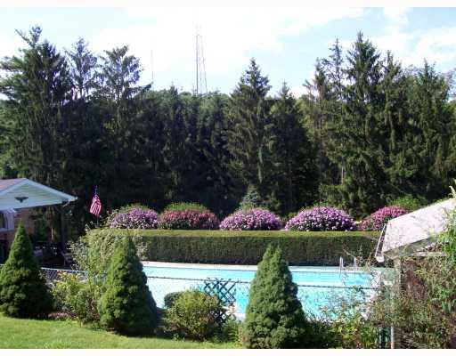 122 Colvin Road Charleroi, PA 15022 - Photo 12 of 18 Swimming Pool/Hot Tub/Sauna.