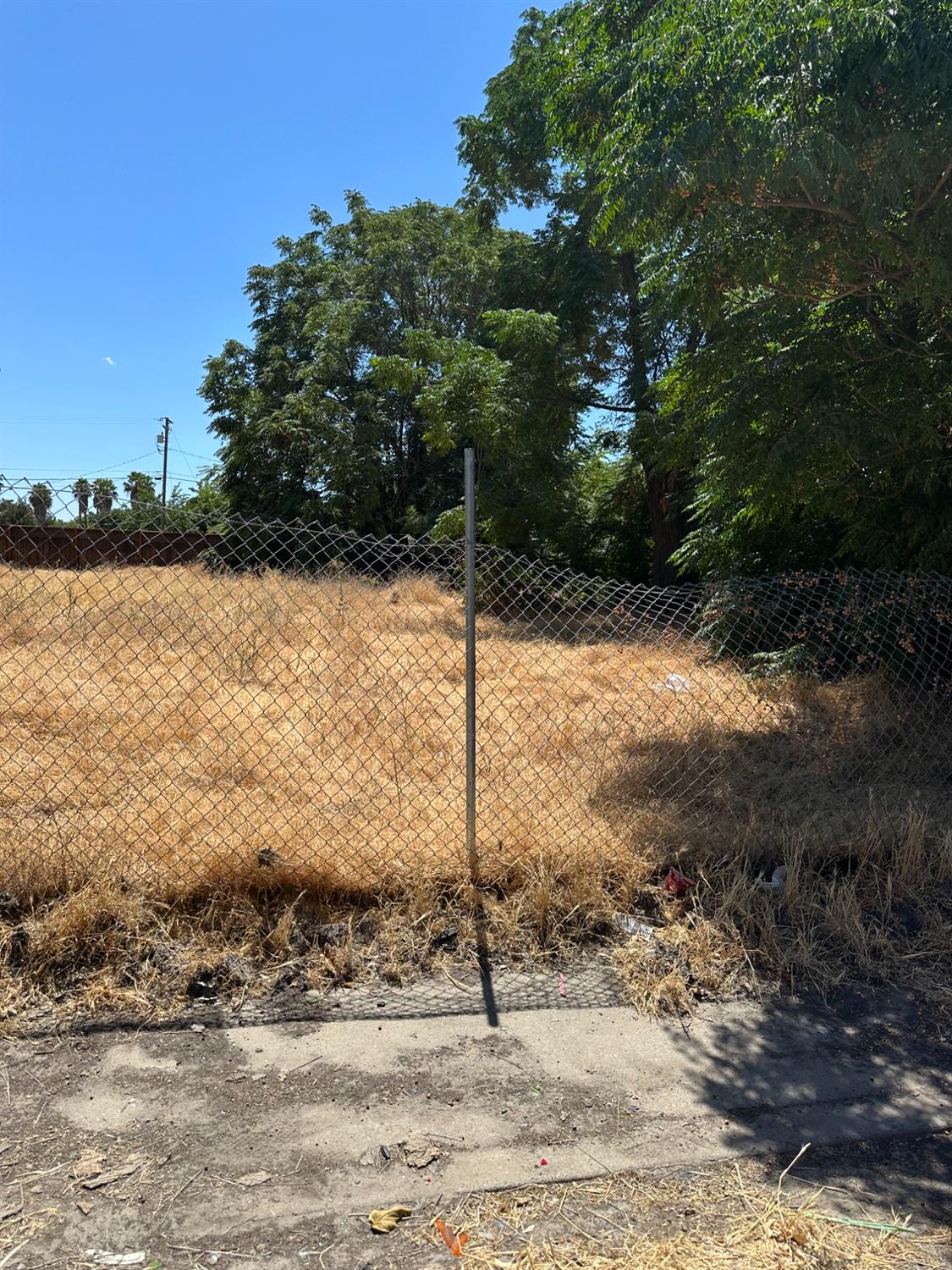 228 H Street Turlock, CA 95380 - Photo 3 of 3 a backyard of a house with lots of green space
