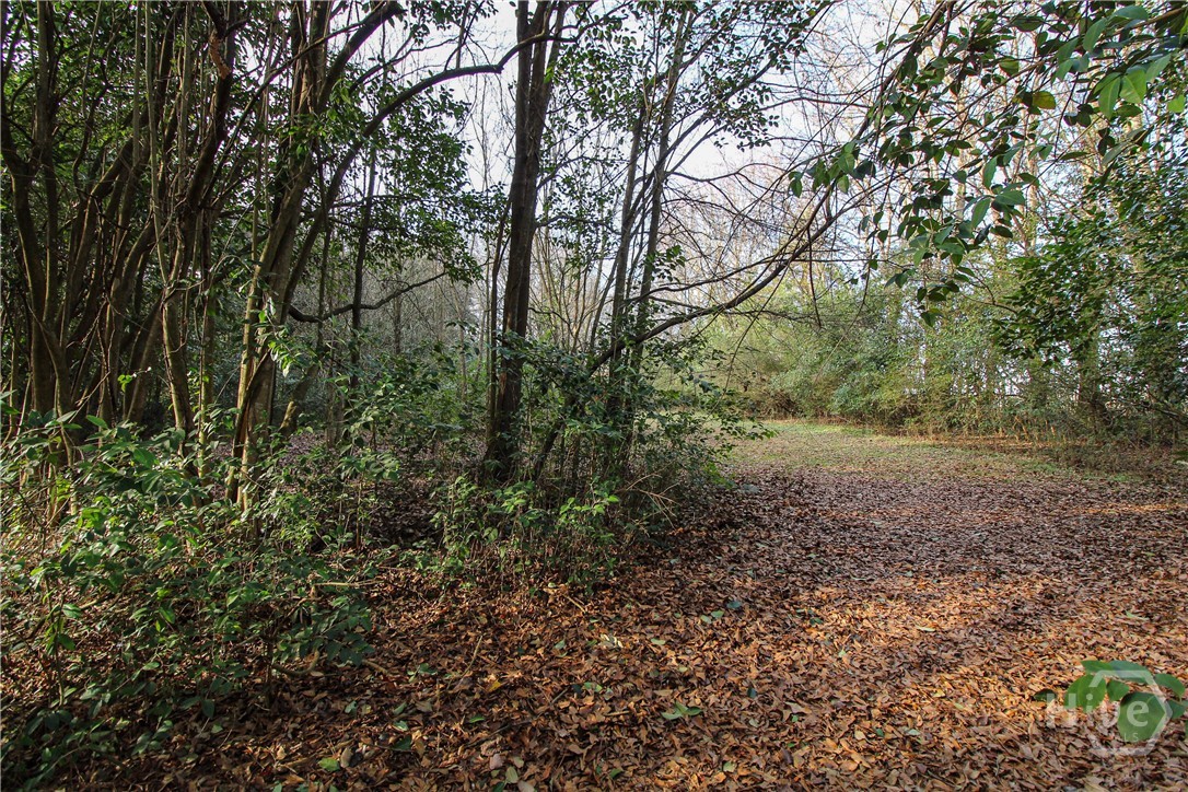 921 Highway 72 Comer, GA 30629 - Photo 53 of 55