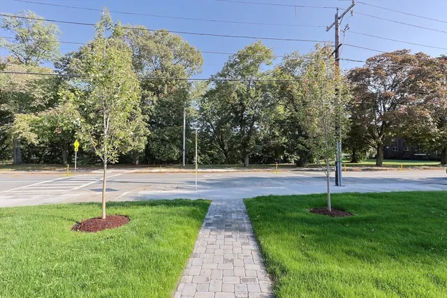 a view of a park with large trees