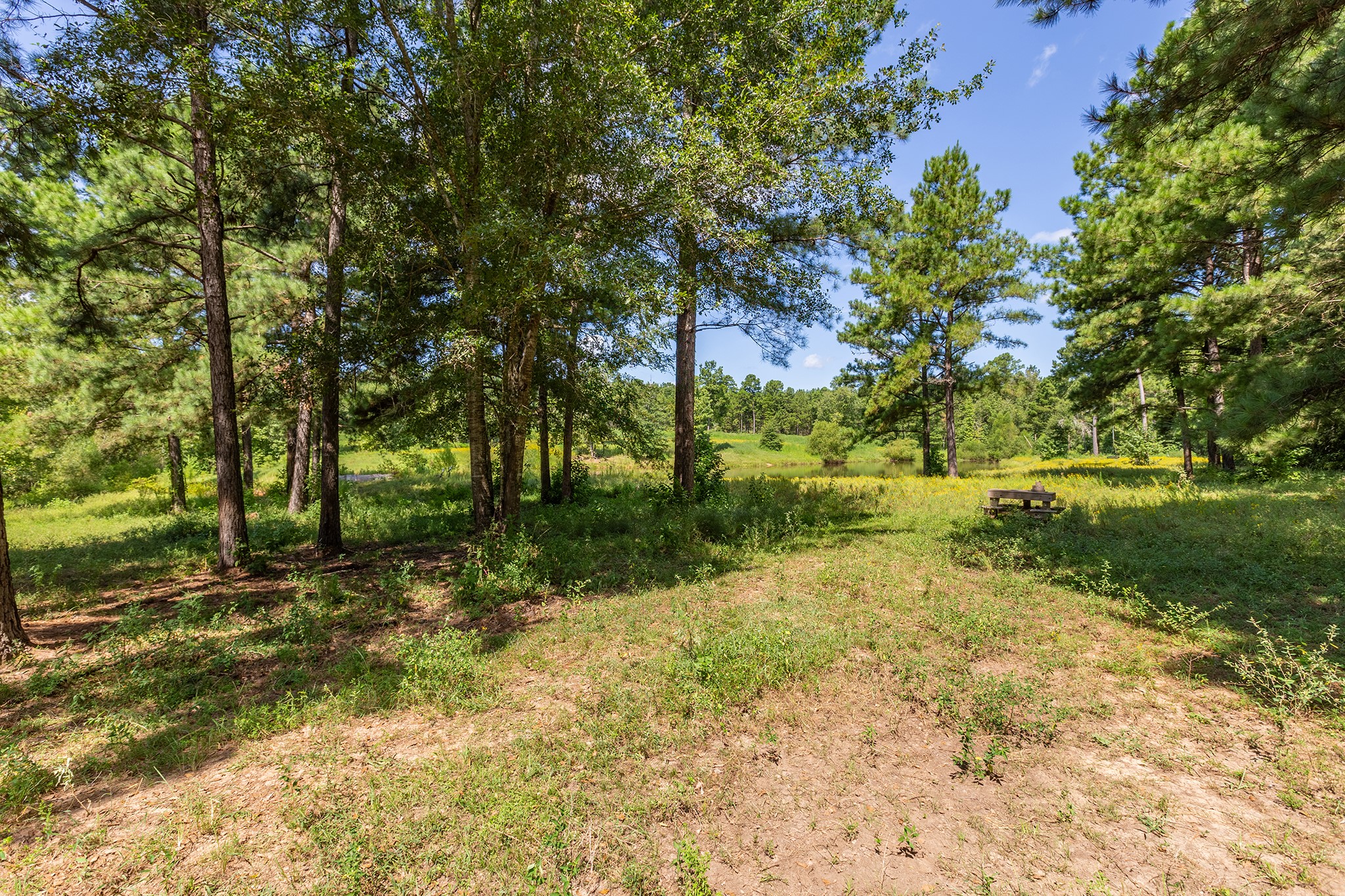 5848 Fm 1751 Bronson, TX 75930 - Photo 45 of 50 a view of backyard with green space