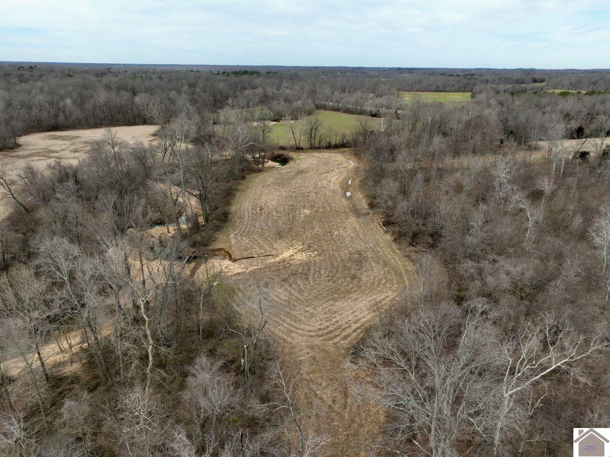0 Waid Road Benton, KY 42025 - Photo 33 of 35 Photo 33