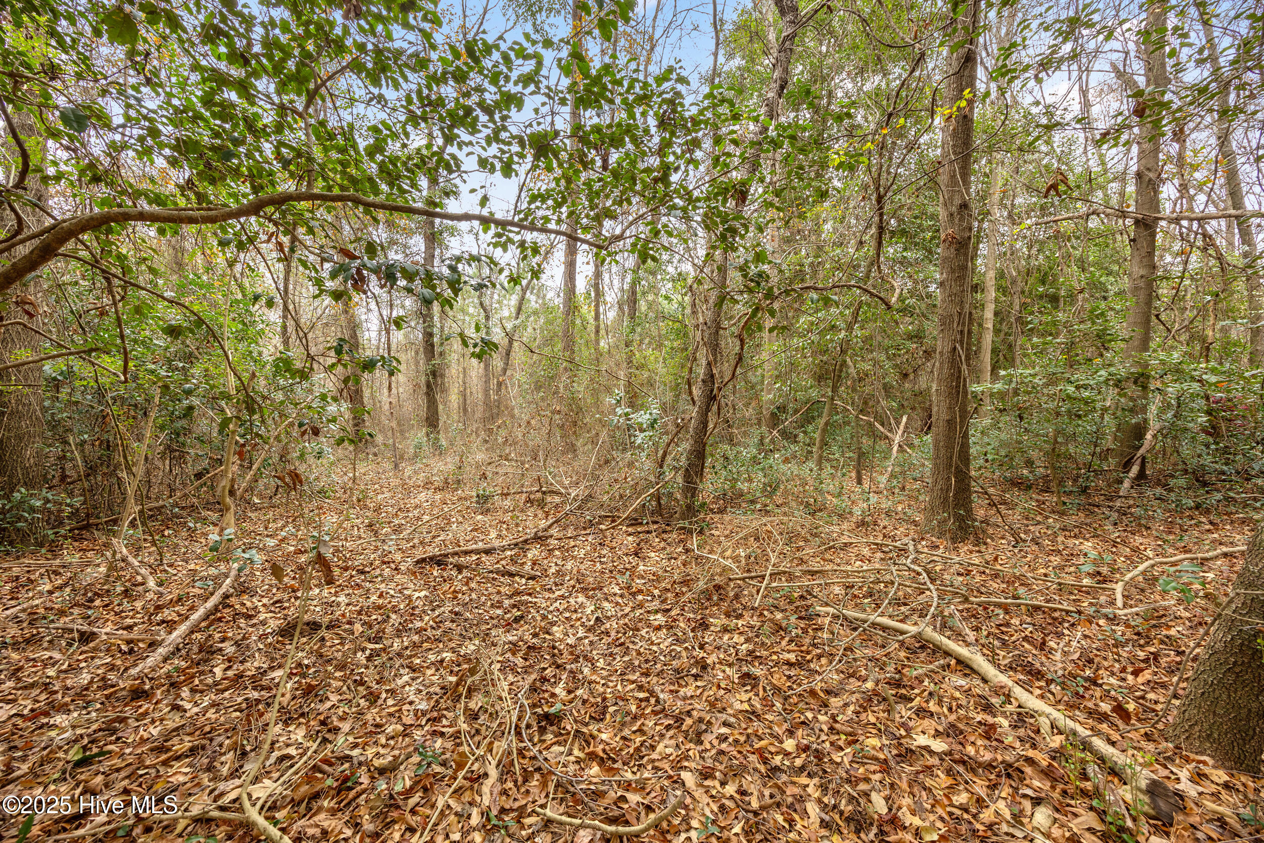 0 Gaddy's Mill Road Maxton, NC 28364 - Photo 15 of 24 15