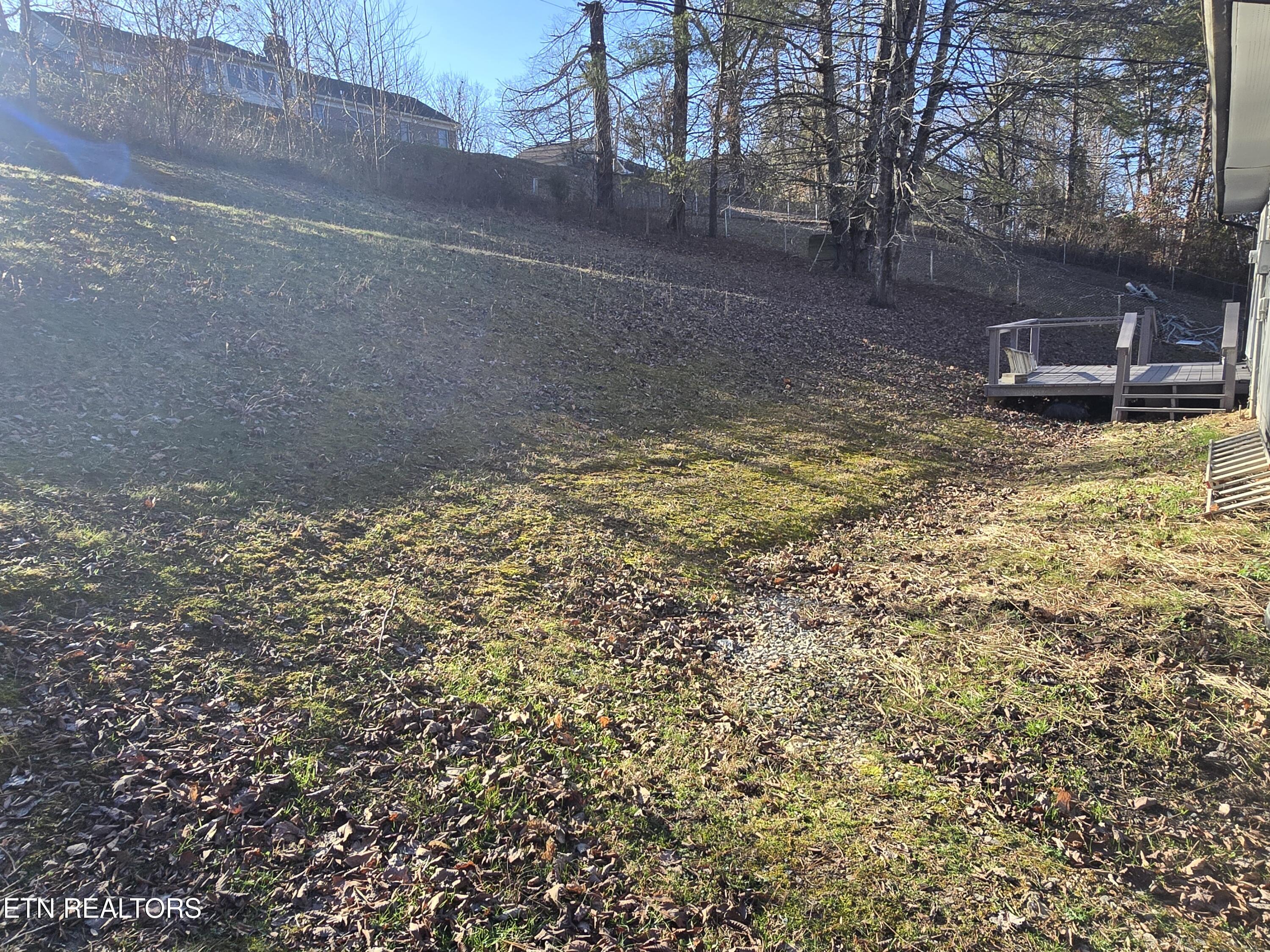 216 Reagan Street Harrogate, TN 37752 - Photo 22 of 27 20251230_150920