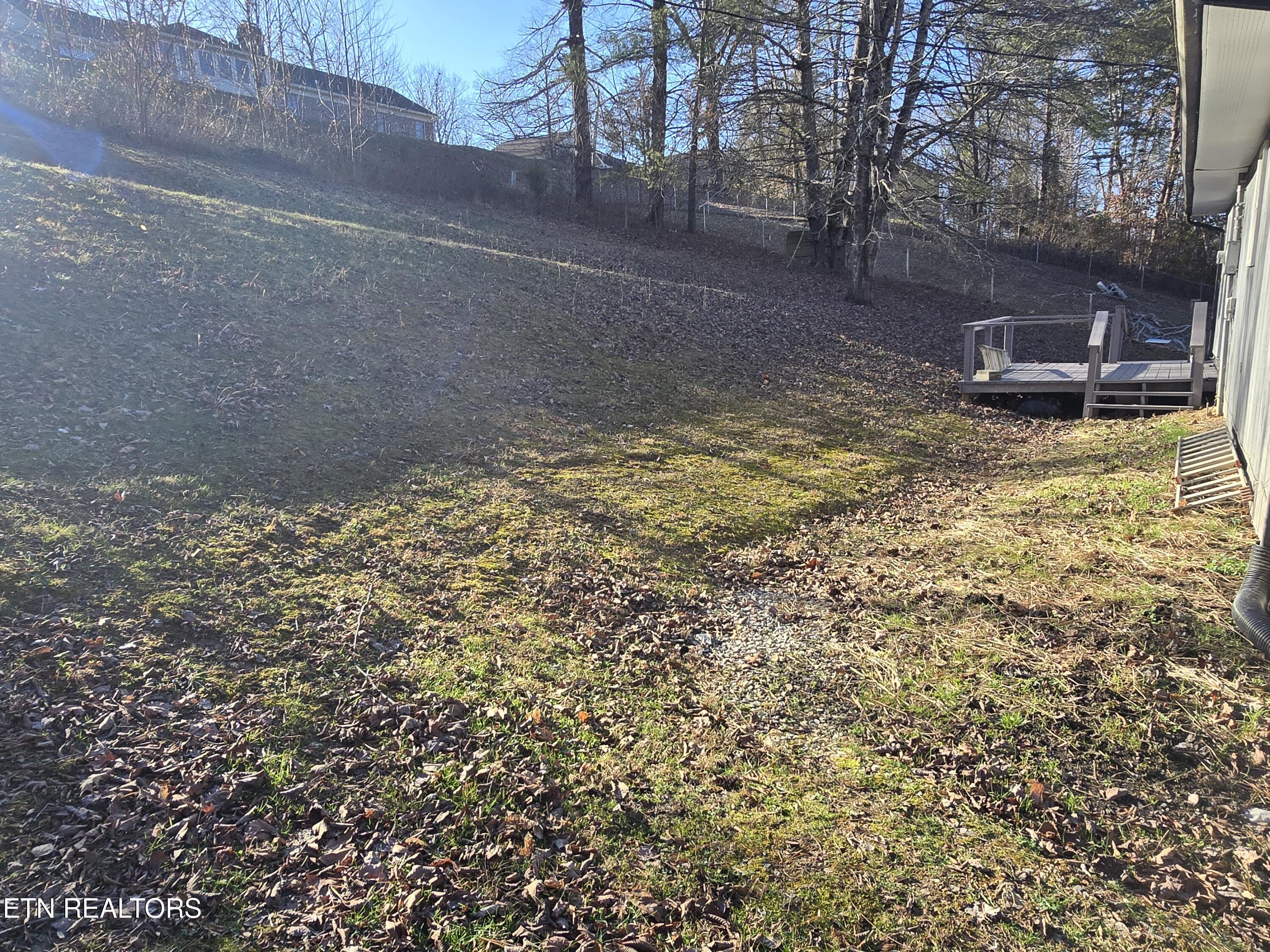 216 Reagan Street Harrogate, TN 37752 - Photo 23 of 27 20251230_150922