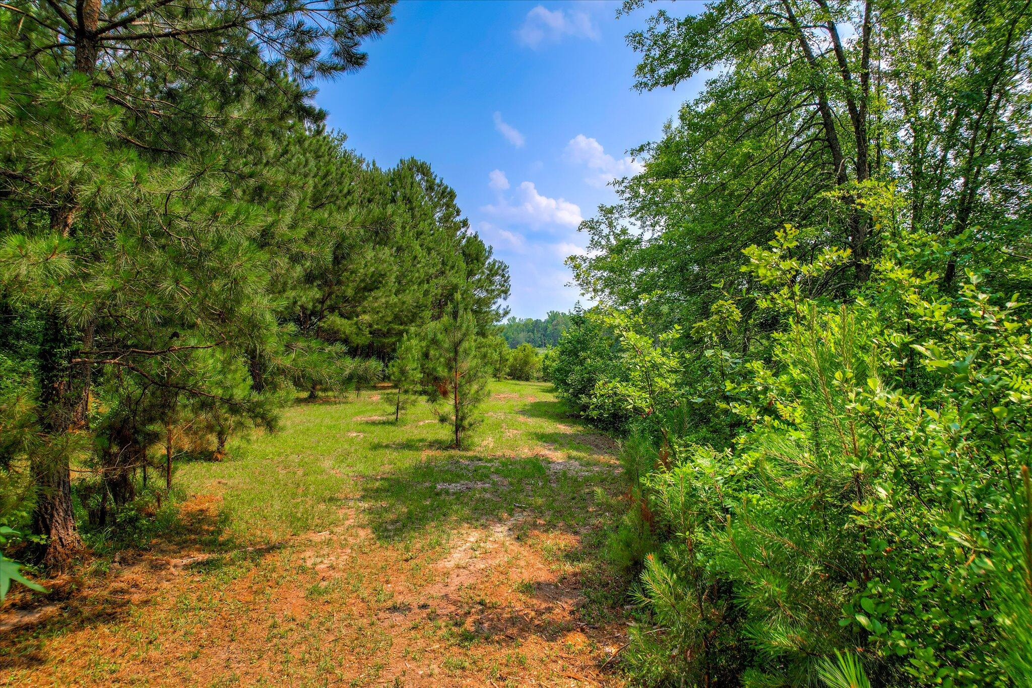 Lot 16 Reeves Street Aiken, SC 29805 - Photo 5 of 15