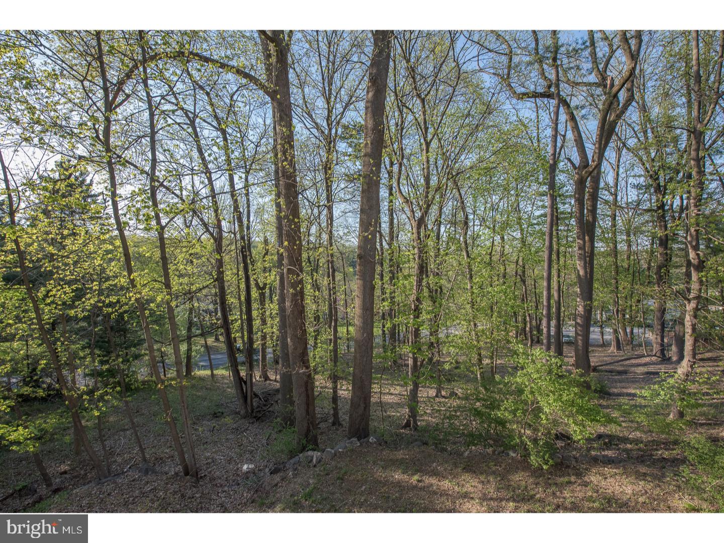232 French Road Newtown Square, PA 19073 - Photo 19 of 19 Gallery Image 19